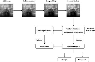 Meta-Heuristic Algorithm-Tuned Neural Network for Breast Cancer Diagnosis Using Ultrasound Images